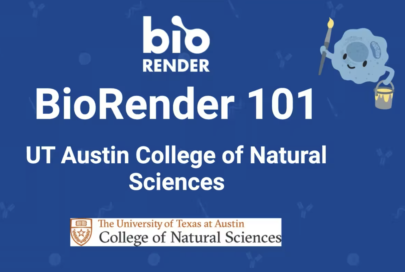 BioRender Learning Hub | BioRender 101 @ University of Texas at Austin